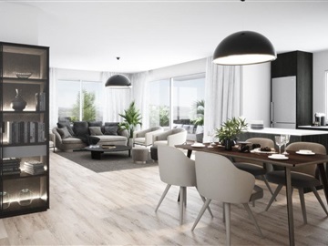 Apartamento T1 / Vila do Conde, Árvore