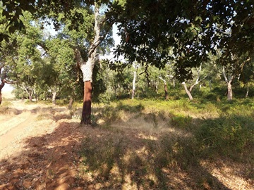 Herdade / Odemira, Relíquias