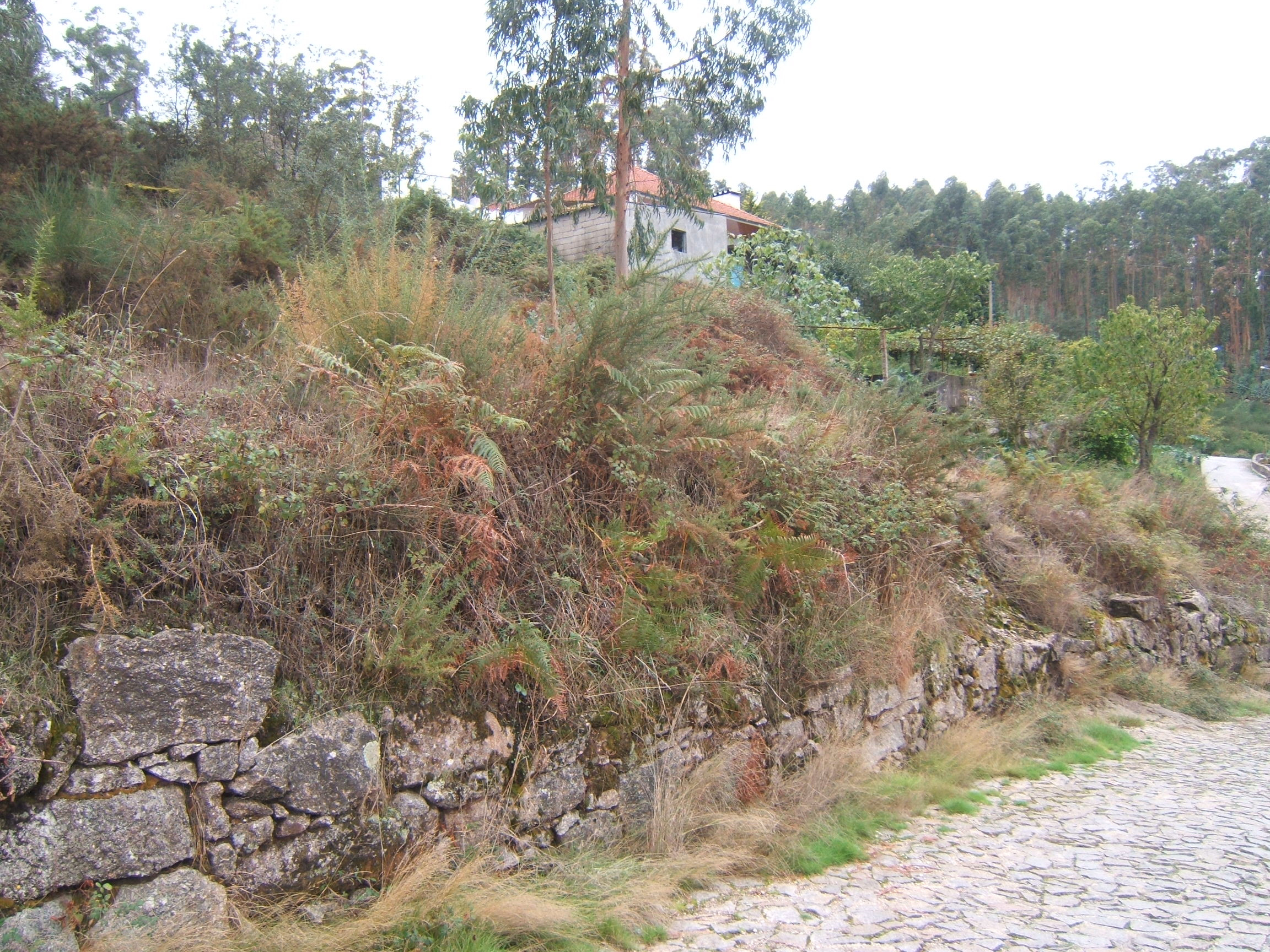 Lote / Vila do Conde, Touguinha e Touguinhó / Venda / Ref. 200160040