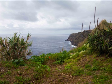 Moradia Isolada T2 / Ponta Delgada, Relva