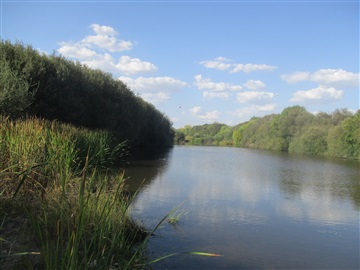 Quinta / Castelo Branco, Escalos de Baixo