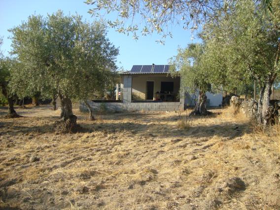 Quinta / Castelo Branco, Escalos de Baixo