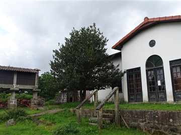 Quinta T3 / Vila Verde, Coucieiro