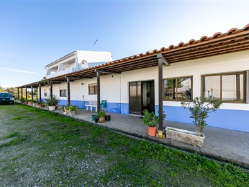 Quinta T5 / Évora, Canaviais