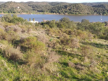 Terreno / Castro Marim, Foz de Odeleite