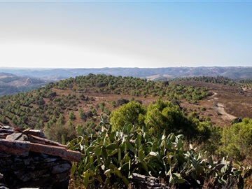 Terreno com ruina / Alcoutim, Tacões