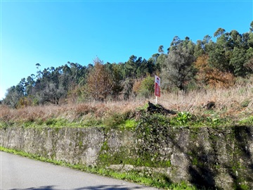 Terreno Para Construção / Barcelos, Oliveira