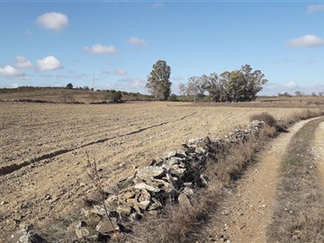 Terreno Rústico / Alcoutim, Tacões