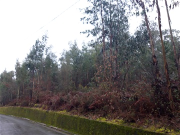 Terreno Rústico / Barcelos, Cossourado