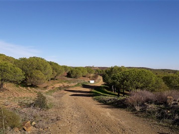 Terreno Rústico / Castro Marim, Barrada
