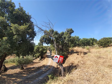 Terreno / São João da Pesqueira, São João da Pesqueira e Várzea de Trevões